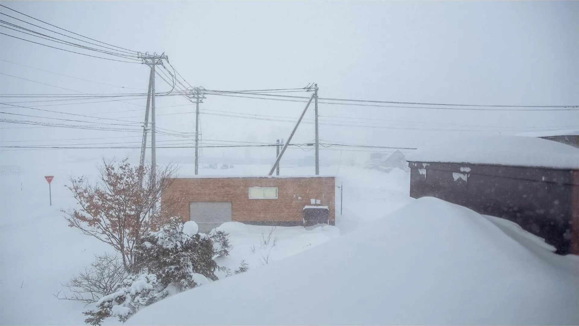 Mush Rooms - Vacation Stay 75002V Higashikawa 0*,  Japon